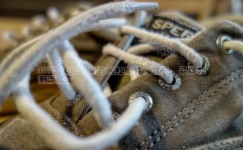 意昂2登录地址知乎2024 年最时尚的网红板鞋：款式、品牌和
潮流指南