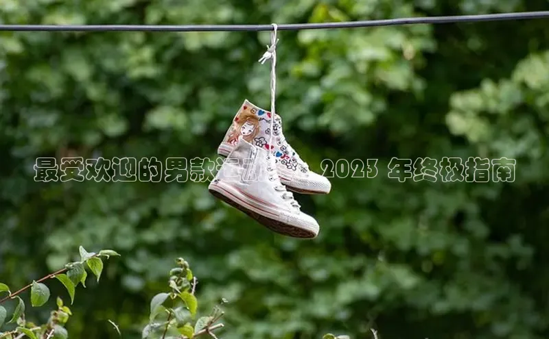 意昂2官网百度Apollo最受欢迎的男款运动鞋：2023 年终极指南