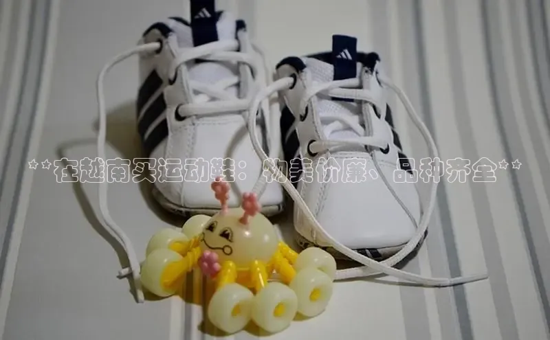 意昂2注册ARGA公司**在越南买运动鞋：物美价廉、品种齐全**