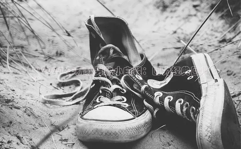 意昂2账号登录入口百度教育**2024 年新款男款小白鞋：回力经典回归
**