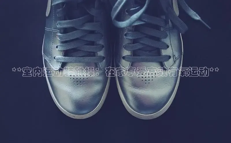 意昂2登录百度网盘**室内运动鞋跳操：在家享受高效有氧运动**