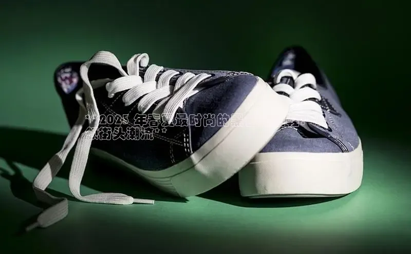 意昂2账号登录入口百度教育**2023 年春夏最时尚的黑色运动鞋：引
领街头潮流**